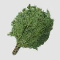 веник банный из пихты замороженный банный эксперт